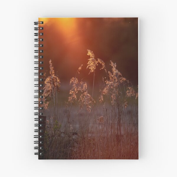 Item preview, Norfolk reed sunset designed and sold by AWLPIX.