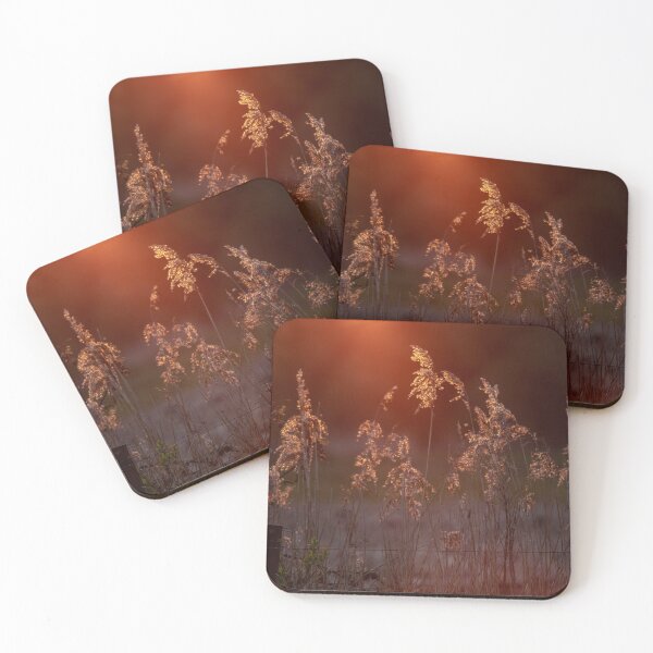 Item preview, Norfolk reed sunset designed and sold by AWLPIX.