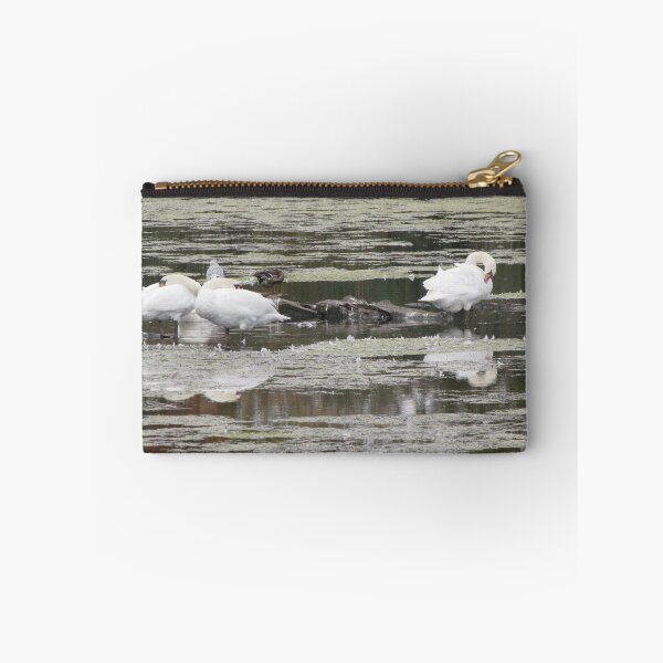 Item preview, Swans Stillife designed and sold by ArtOfE.