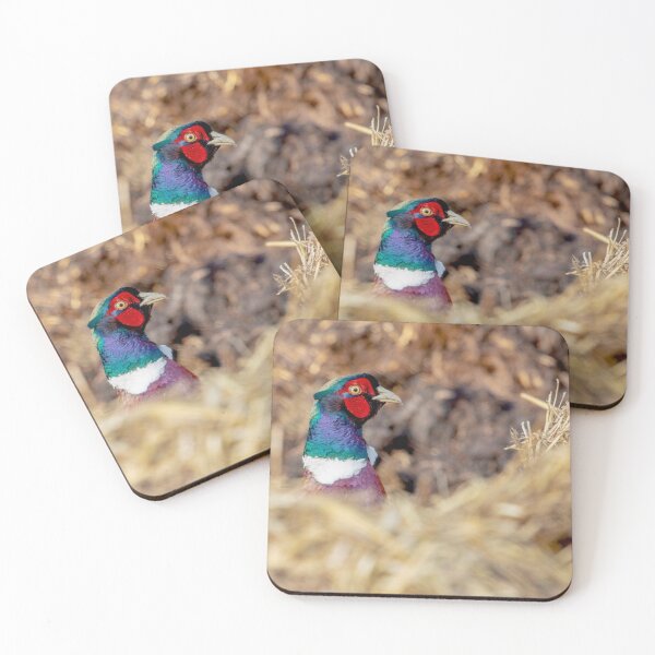Item preview, Hide and seek designed and sold by AWLPIX.