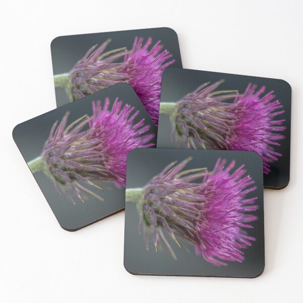 Item preview, Musk thistke designed and sold by AWLPIX.