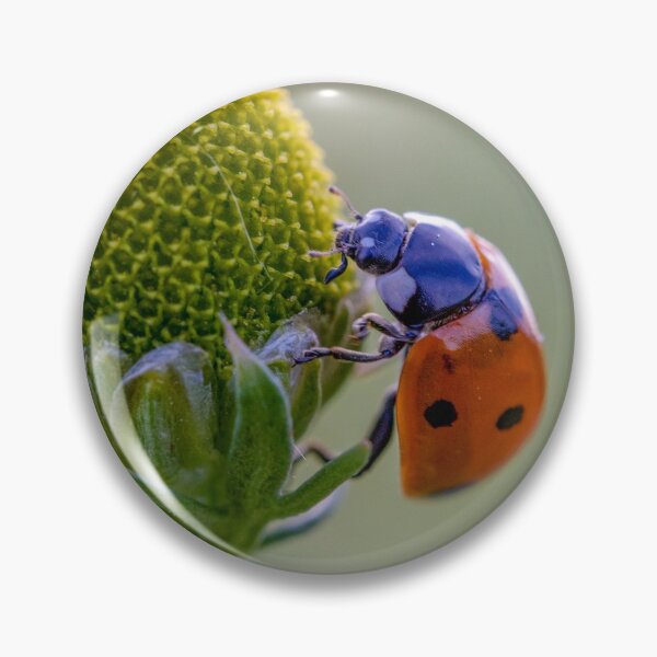 Item preview, Ladybird exploring pineapple mayweed designed and sold by AWLPIX.