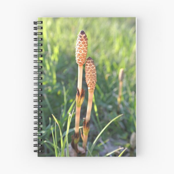 Item preview, Intimate Horsetail designed and sold by Colour Of Rice.