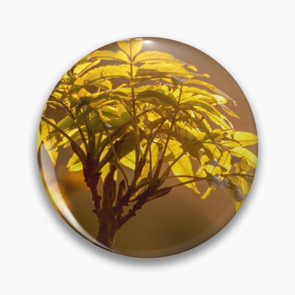 Item preview, Ash leaf sunset designed and sold by AWLPIX.