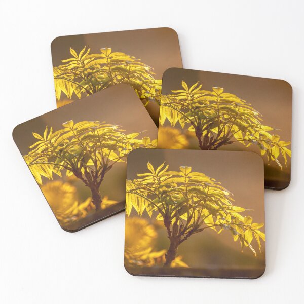 Item preview, Ash leaf sunset designed and sold by AWLPIX.