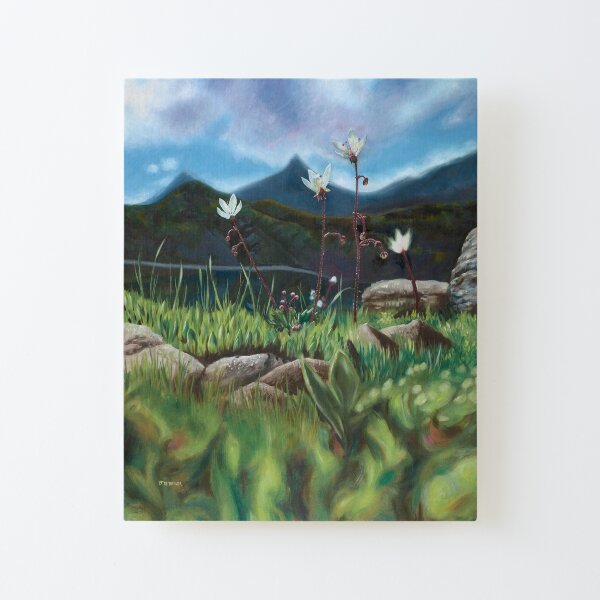 Heaven and Earth Canvas Mounted Print