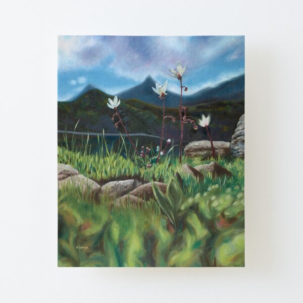 Heaven and Earth Canvas Mounted Print