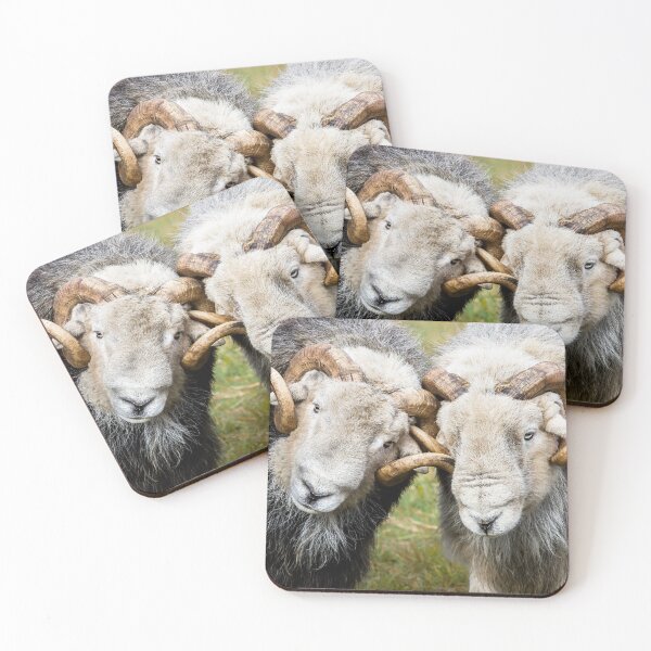 Item preview, Two Herdwick Rams Locking Horns designed and sold by Jane Stanley Photography.