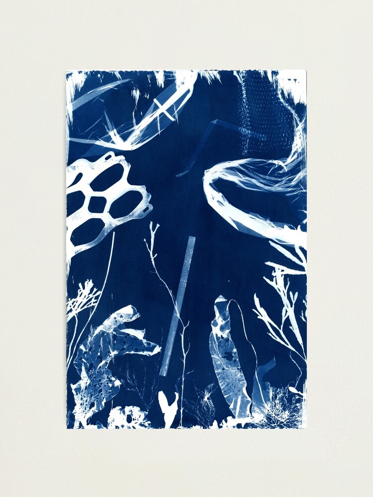 Cyanotype Impressions of the Atlantic Ocean in Maine - The Maine