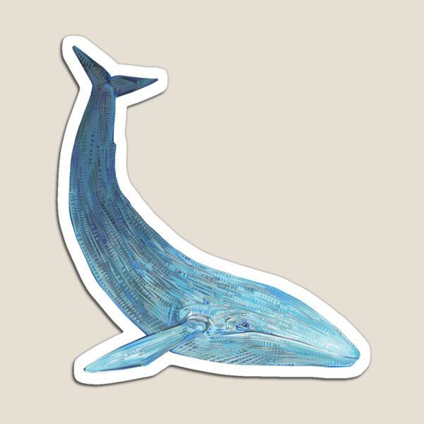 Blue Whale Painting - 2012 Magnet