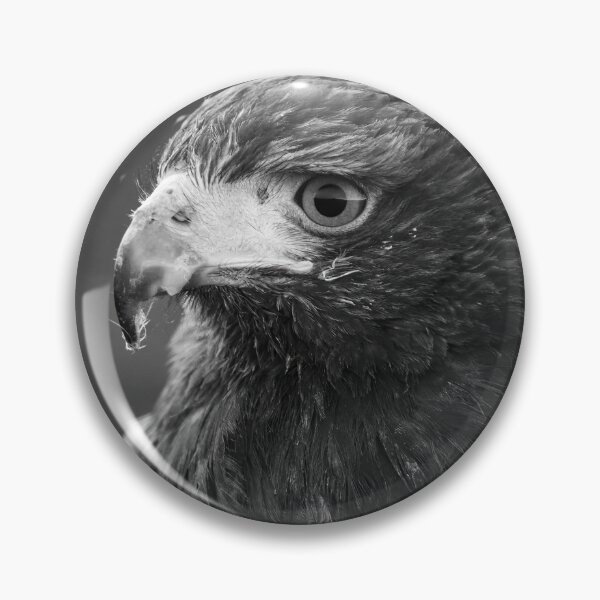 Item preview, Common Buzzard-Monochrome designed and sold by Ryan  Ten.