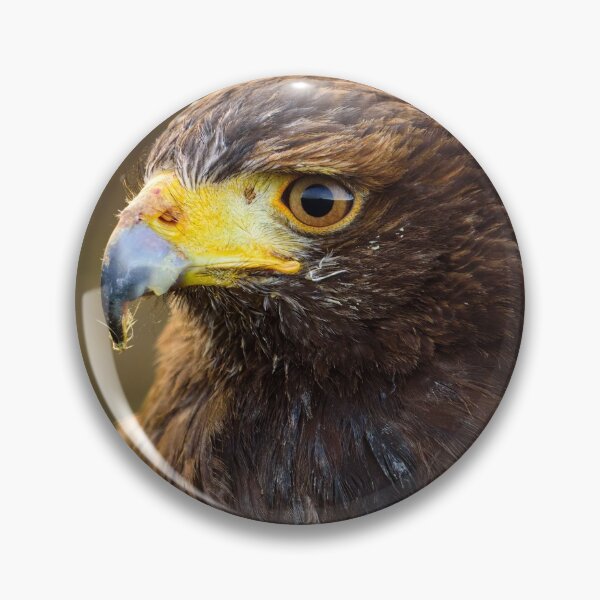 Item preview, Common Buzzard designed and sold by Ryan  Ten.