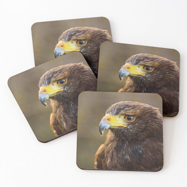 Item preview, Common Buzzard designed and sold by Ryan  Ten.