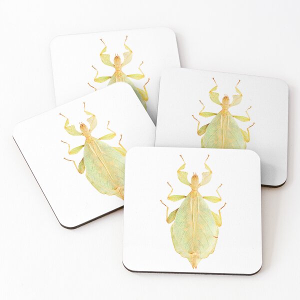 Item preview, Leaf Insect (Phyllium gardabagusi) designed and sold by Tim Christensen.