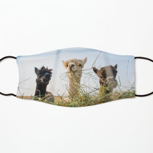 Alpaca Boys Kids Mask