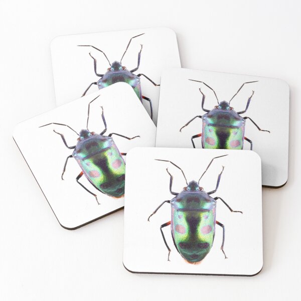 Item preview, Shield Bug (chrysocoris) designed and sold by Tim Christensen.