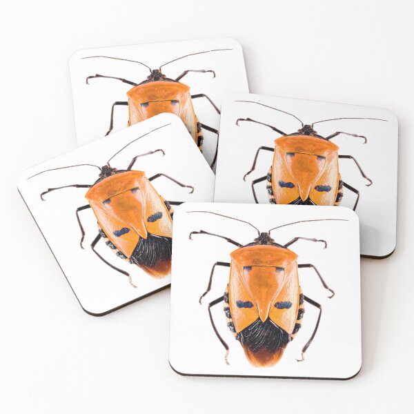 Item preview, Shield Bug (Catacanthus incarnatus) designed and sold by Tim Christensen.