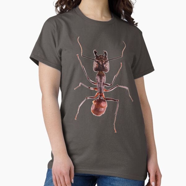 Item preview, Giant Forest Ant (Camponotus gigas) designed and sold by Tim Christensen.