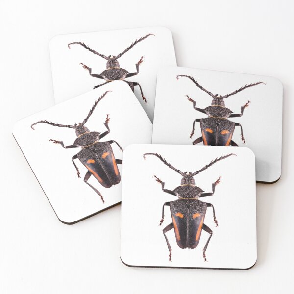 Item preview, Long Horn Beetle (Calocomus desmaresti) designed and sold by Tim Christensen.