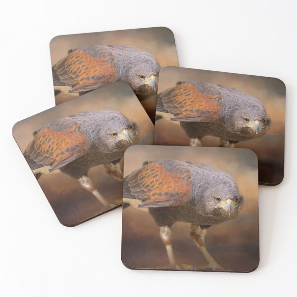 Item preview, Harris' Hawk designed and sold by Lucinda Walter.