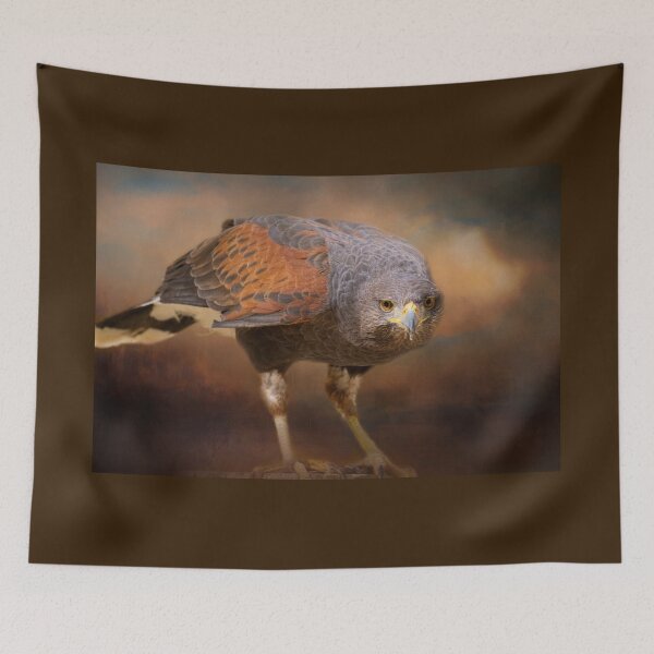 Item preview, Harris' Hawk designed and sold by Lucinda Walter.