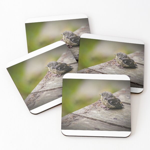 Item preview, a little bird designed and sold by OE993.