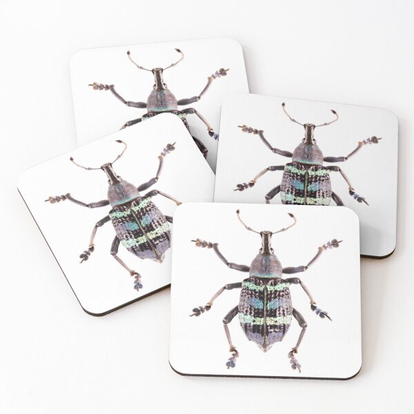 Item preview, Magnificent Weevil (Eupholus magificus)  designed and sold by Tim Christensen.