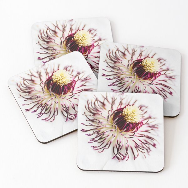 Item preview, clematis blossom designed and sold by OE993.