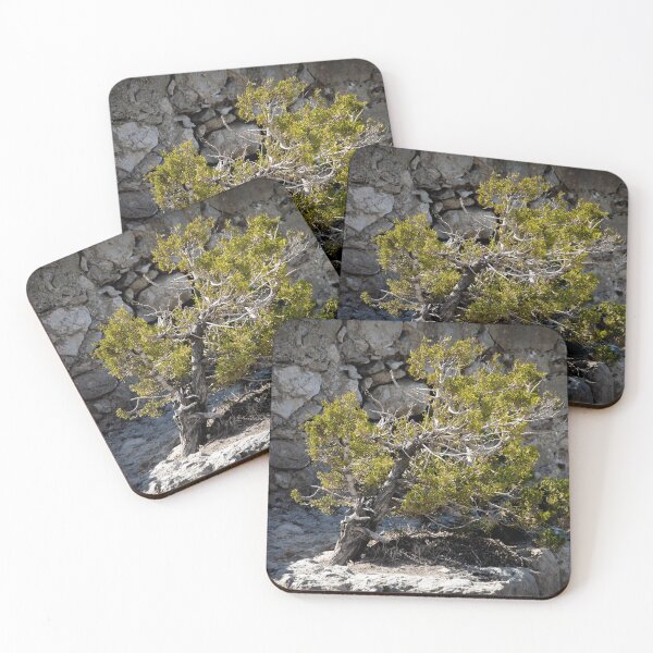 Item preview, mystic Tree designed and sold by OE993.