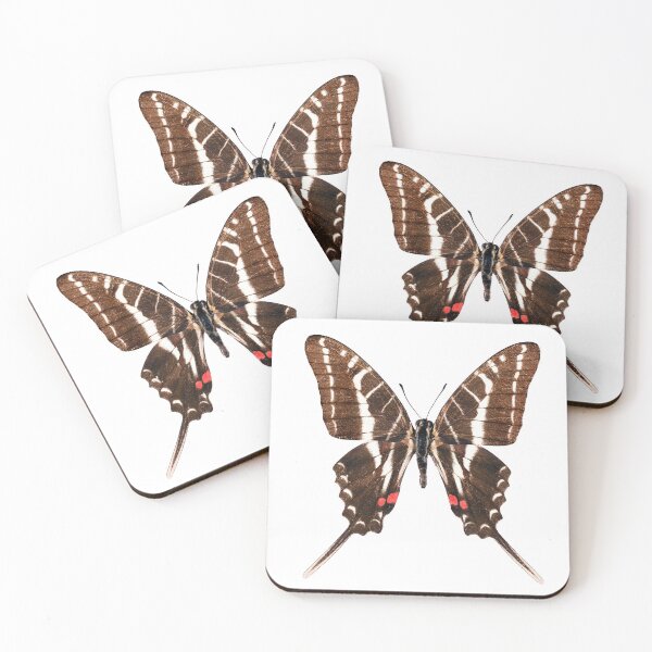 Item preview, Zebra Swallowtail designed and sold by Tim Christensen.