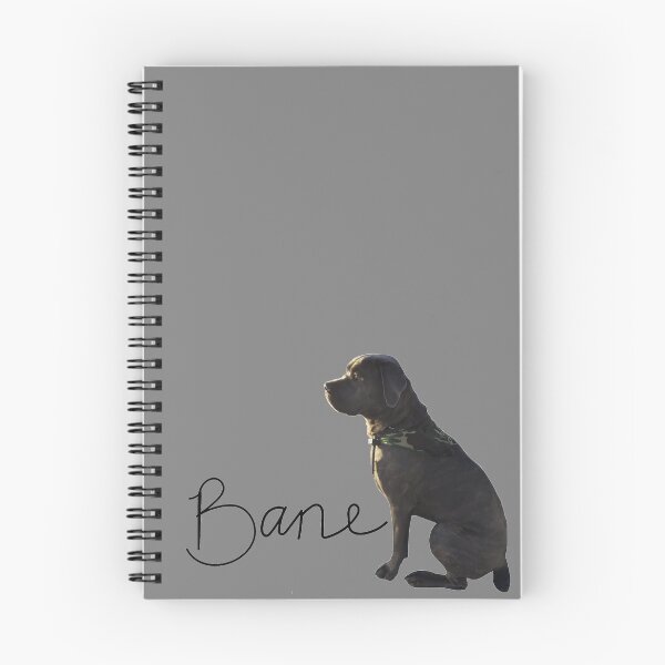 Item preview, Bane 1 designed and sold by king7292.