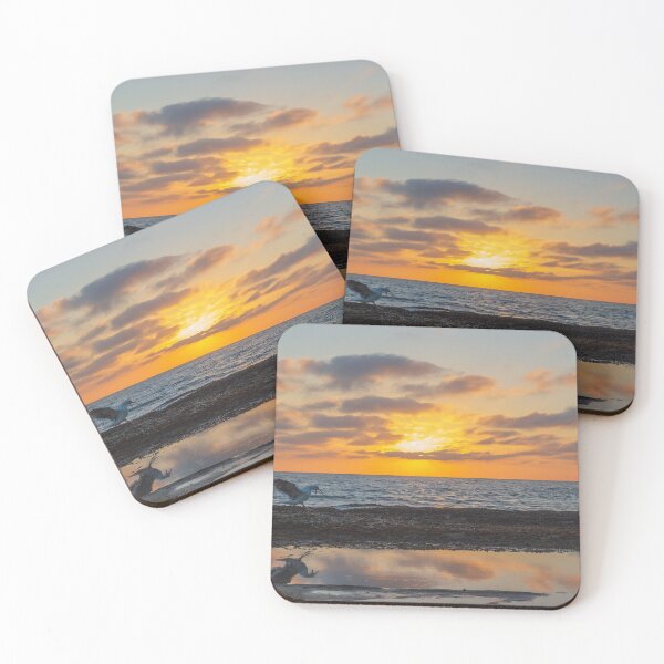 Item preview, Colorful Beach Sunset and Seagull being Reflected by Tidepool Water  designed and sold by DavidWeedall.