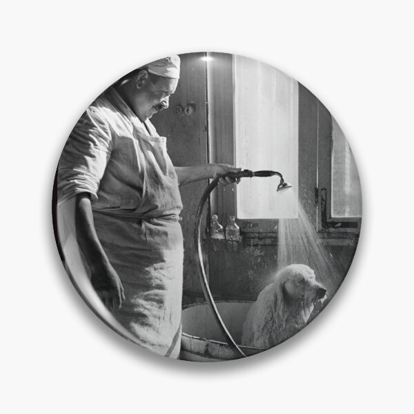 Item preview, Vintage dog cute photo Dogs retro pet barber grooming taking bath designed and sold by Coolstuff4you71.