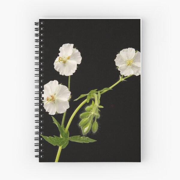Item preview,  White Dusky Cranesbill designed and sold by Nethycurl.