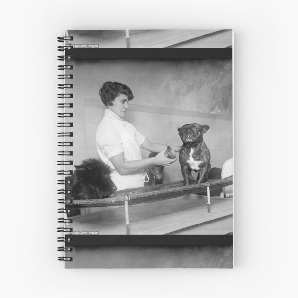 Item preview, Vintage dog cute photo Dogs retro pet barber retro grooming  designed and sold by Coolstuff4you71.