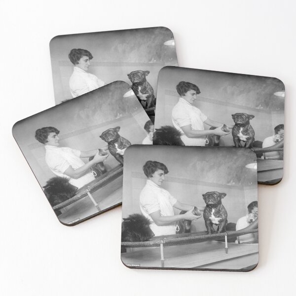 Item preview, Vintage dog cute photo Dogs retro pet barber retro grooming  designed and sold by Coolstuff4you71.
