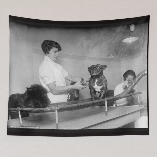 Item preview, Vintage dog cute photo Dogs retro pet barber retro grooming  designed and sold by Coolstuff4you71.