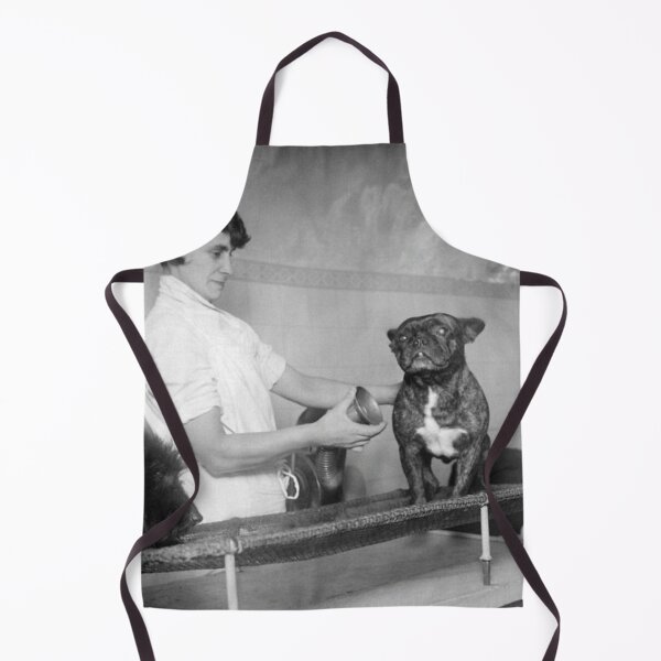 Item preview, Vintage dog cute photo Dogs retro pet barber retro grooming designed and sold by Coolstuff4you71.