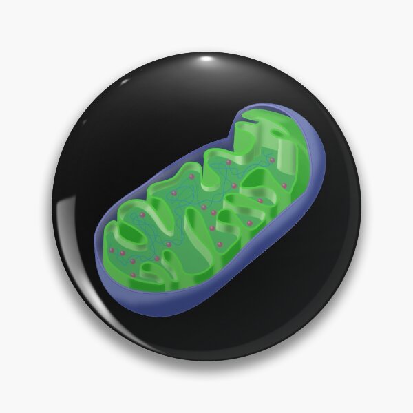 Item preview, Blue and Green Mitochondrion, a Cell Organelle, Microbiology designed and sold by ScienceSource.