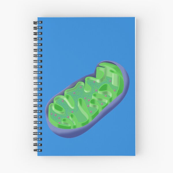 Item preview, Blue and Green Mitochondrion, a Cell Organelle, Microbiology designed and sold by ScienceSource.