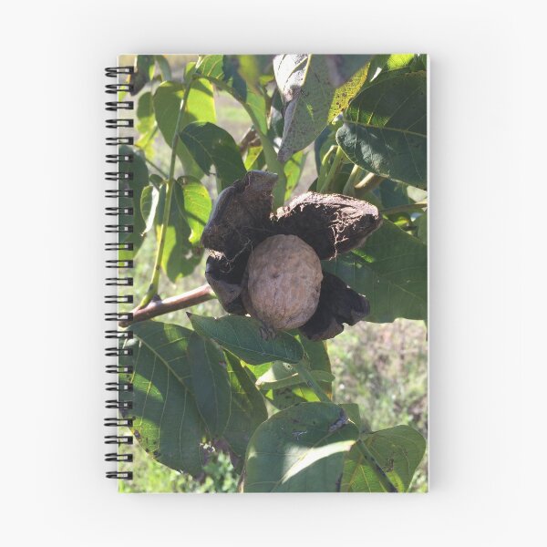 Item preview, Walnut Tree designed and sold by PerivoliTees.
