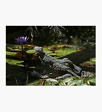 Don't be fooled Photographic Print