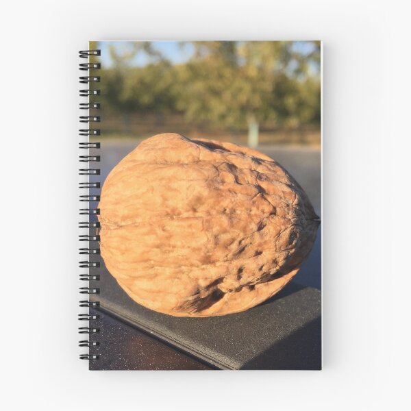 Item preview, Walnut Orchard designed and sold by PerivoliTees.