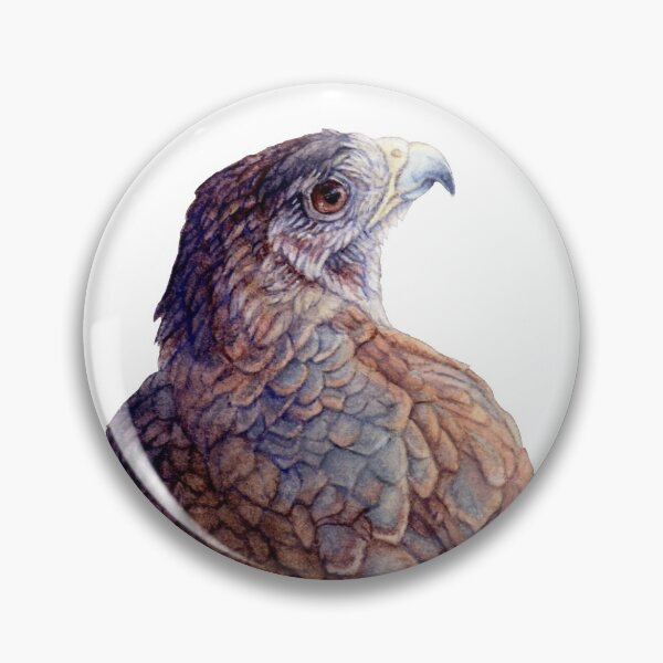 Item preview, Volleyball Hawk #9 - Short-tailed hawk  designed and sold by R.A.  Faller.