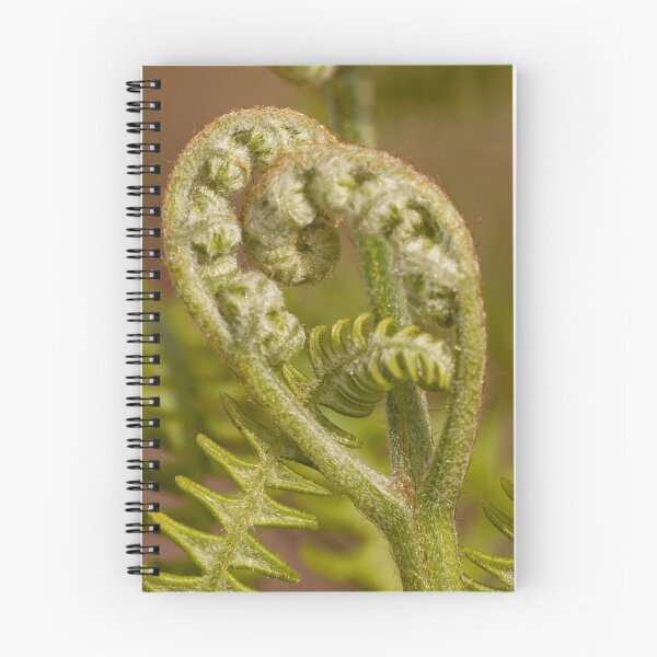 Item preview, Fern Heart designed and sold by Peggy Collins.