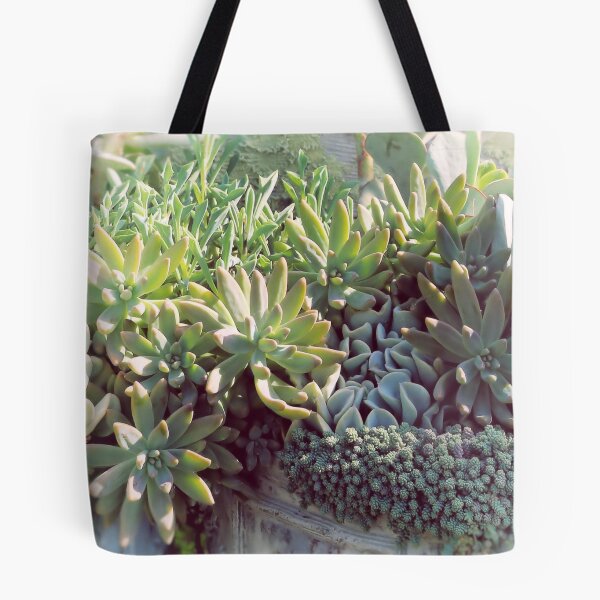 Item preview, Green Succulents designed and sold by myBeachWishes.