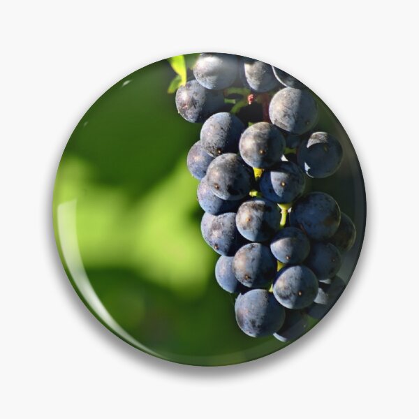 Item preview, Black wine grapes designed and sold by wineandwords.