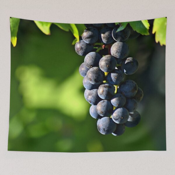 Item preview, Black wine grapes designed and sold by wineandwords.