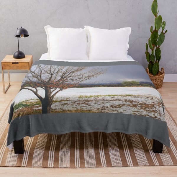 Item preview, Rare Winter Snow In Southern Arizona designed and sold by Lucinda Walter.