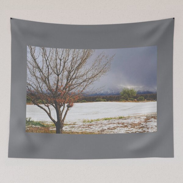 Item preview, Rare Winter Snow In Southern Arizona designed and sold by Lucinda Walter.